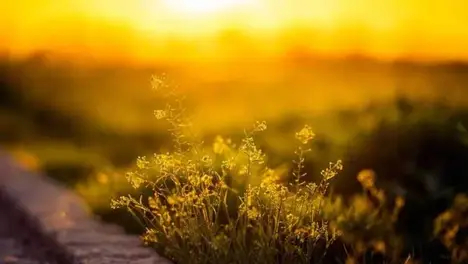 IG战队风波不断:Theshy沉迷大乱斗模式,Rookie坦言左手选手更强